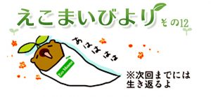 えこまいびより12