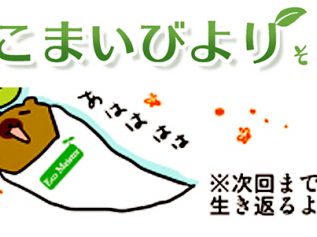 えこまいくまーの４コマ漫画 vol.12
