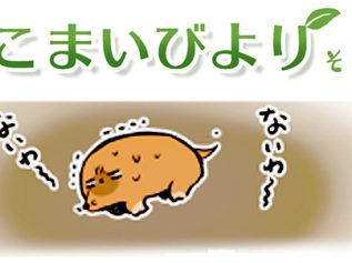 えこまいくまーの４コマ漫画 vol.13