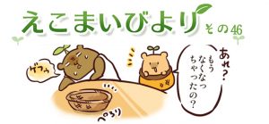 えこまいびより46
