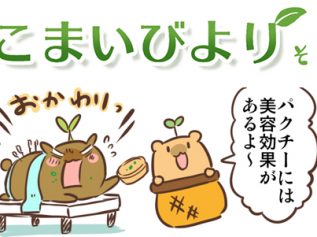 えこまいくまーの４コマ漫画 vol.62