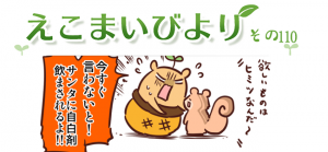 えこまいびより110